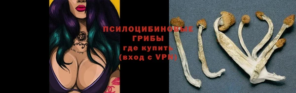 apvp Волоколамск