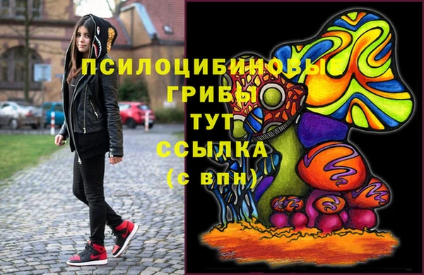 apvp Волоколамск