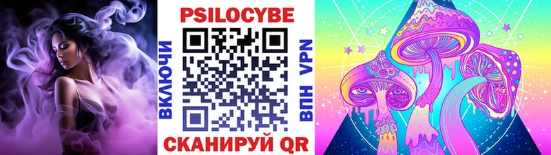 Купить  Курчалой  Галлюциногенные грибы мухоморы 